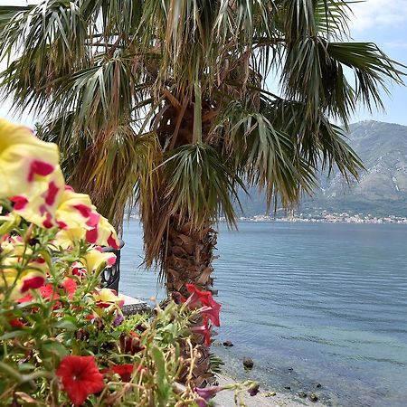 Maniva Penthouse By The Sea Apartment Kotor Ngoại thất bức ảnh