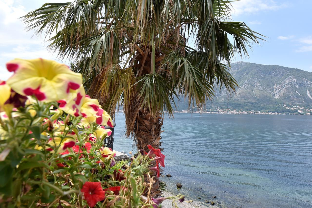 Maniva Penthouse By The Sea Apartment Kotor Ngoại thất bức ảnh